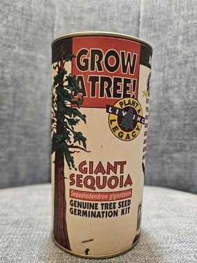 Giant Sequoia Tree Seed Kit - Red and Cream